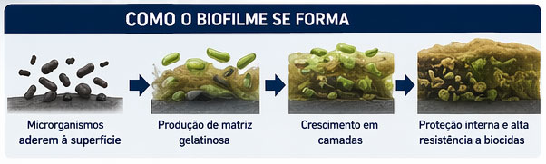 Como o biofilme se forma na torre