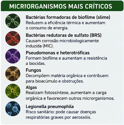 Microrganismos mais críticos