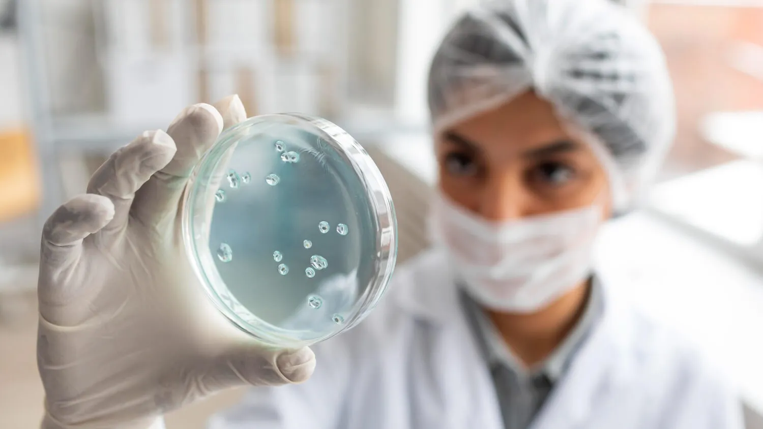 Análise microbiológica em placa de Petri